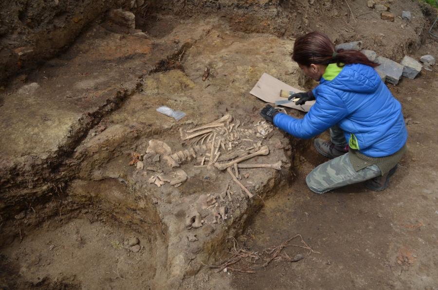 Rozobratie skeletu po dokumentácii (2020) Fotogaléria