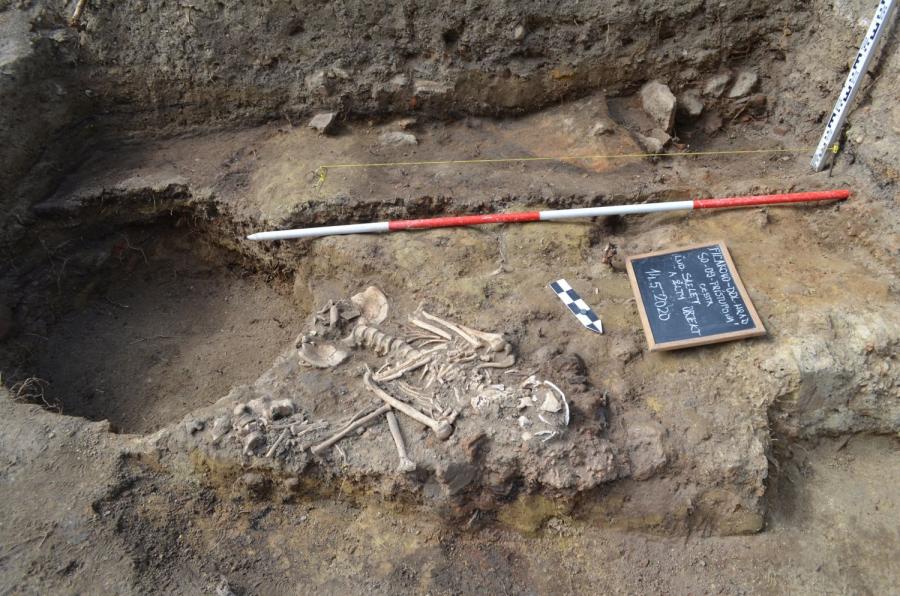 Nález ľudského skeletu zo 17. stor. - dolné končatiny porušené novším zásahom (2020 Fotogaléria