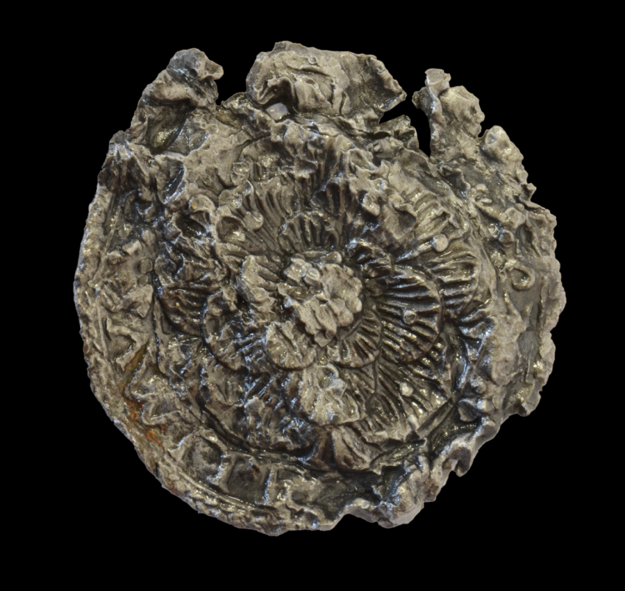 Textilná plomba z Anglicka, 16. stor Fotogaléria